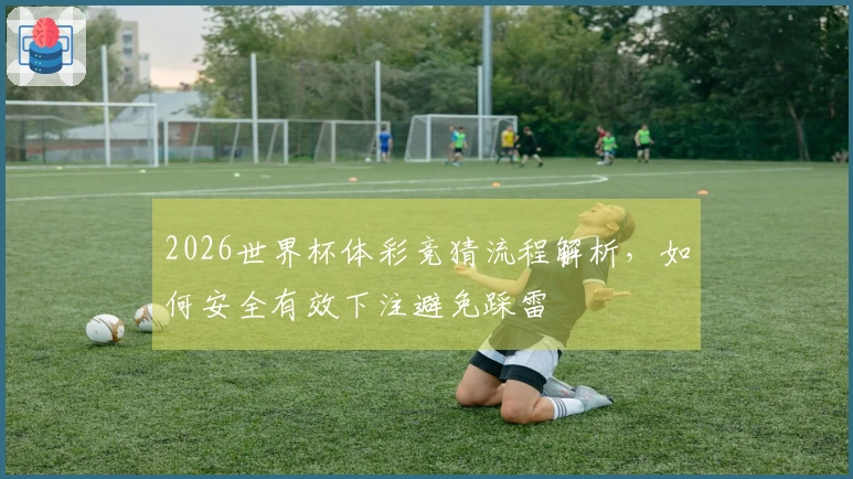 2026世界杯体彩竞猜流程解析，如何安全有效下注避免踩雷