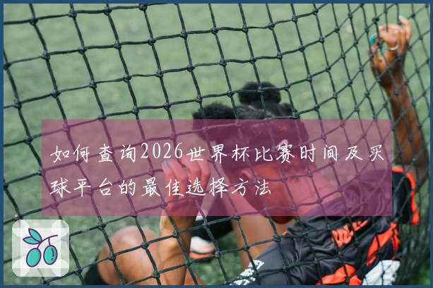 如何查询2026世界杯比赛时间及买球平台的最佳选择方法