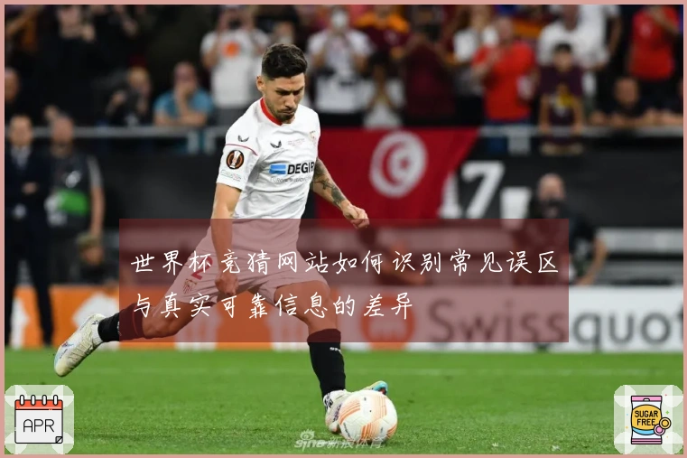 世界杯竞猜网站如何识别常见误区与真实可靠信息的差异