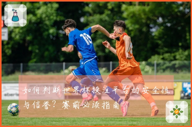 如何判断世界杯投注平台的安全性与信誉？赛前必读指南