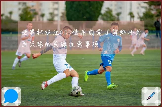 世界杯投注app使用前需了解哪些外围买球的关键注意事项