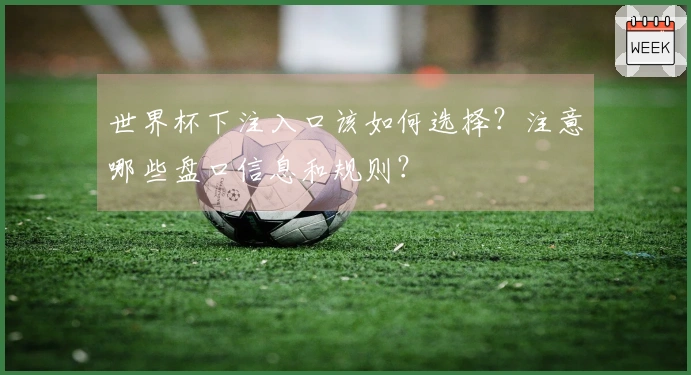 世界杯下注入口该如何选择？注意哪些盘口信息和规则？