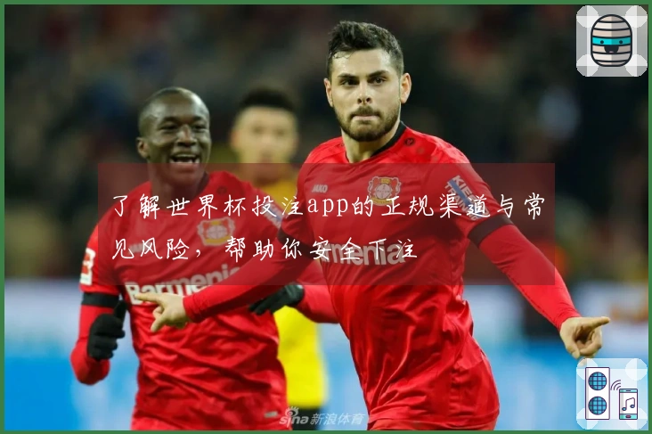 了解世界杯投注app的正规渠道与常见风险，帮助你安全下注