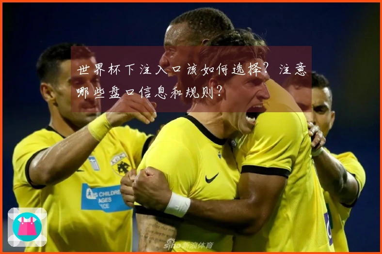 世界杯下注入口该如何选择？注意哪些盘口信息和规则？