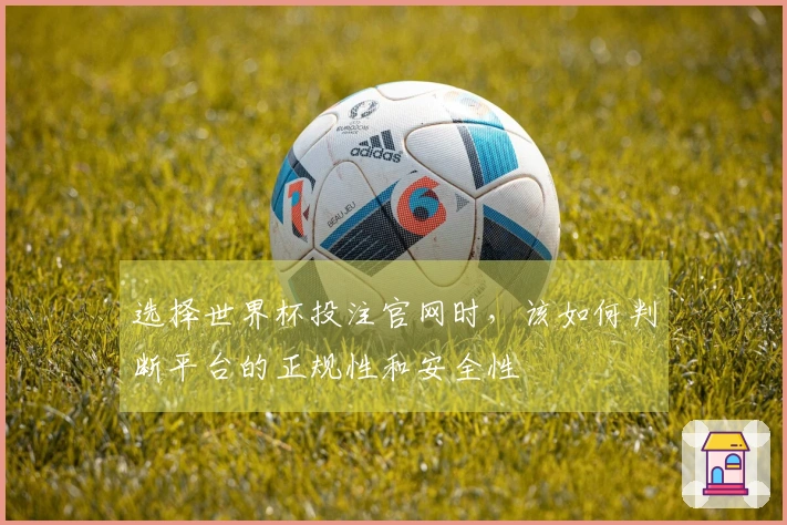 选择世界杯投注官网时，该如何判断平台的正规性和安全性