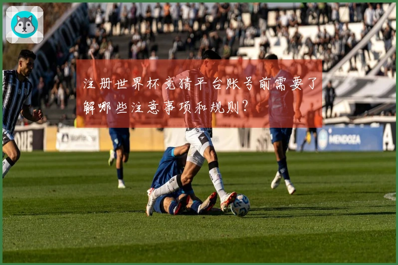 注册世界杯竞猜平台账号前需要了解哪些注意事项和规则？