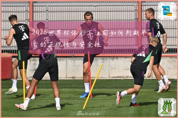 2026世界杯体彩下注前如何判断平台的正规性与安全性
