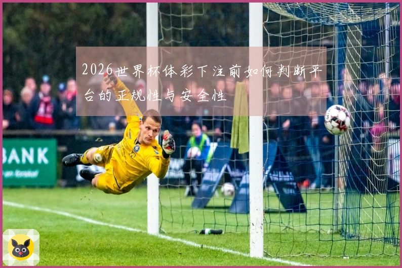 2026世界杯体彩下注前如何判断平台的正规性与安全性